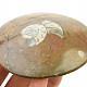 Fossil ammonite in rock (Erfoud, Morocco) 167g