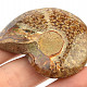 Fossil ammonite with opal luster (39g)