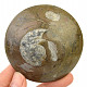 Ammonite in rock fossil (Erfoud, Morocco) 126g