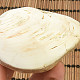 Fossil shells for collectors 169g