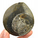 Fossil ammonite in rock (Erfoud, Morocco) 122g