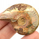 Ammonite with opal luster (29g)