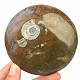 Fossil ammonite in rock (Erfoud, Morocco) 234 g