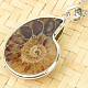 Ammonite pendant with handle Ag 925/1000 5.56 g