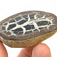 Fossil septaria half (Morocco) 39g