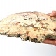 Petrified wood slice 2432g (Madagascar)