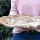 Petrified wood large slice 6161g (Madagascar)