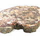 Zkamenělé dřevo plátek 3584g (Madagaskar)