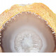 Brown-white agate geode from Brazil 197g
