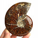 Výběrový amonit vcelku s opálovým leskem 310g