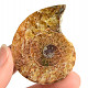 Ammonite collection half 17.4g