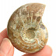 Collection ammonite 43g in total