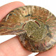 Ammonite collection half 13.6g