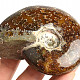 Choice ammonite whole with opal luster 249g
