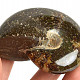 Selected ammonite 191g in total