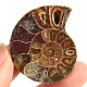 Ammonite collection half 25.9g