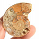 Ammonite one half 26.6g