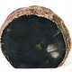 Agate geode from Brazil 261g