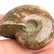 Collection ammonite 39g in total