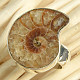 Ammonite ring size 55 Ag 925/1000 8.5g