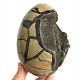 Septaria - dragon egg 1331g