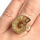 Ammonite ring size 55 Ag 925/1000 8.5g