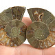Collectable ammonite pair 16.3g