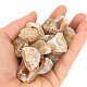 Pack of agate mini geodes from Brazil 20pcs (138g)