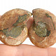 Collectable ammonite pair 16.9g