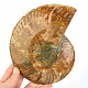 Ammonite half for collectors 451g