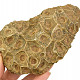 Fosilní korál z Maroka 394g