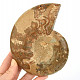 Ammonite half for collectors 395g