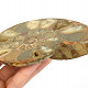 Ammonite half for collectors 432g