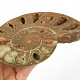 Ammonite half for collectors 420g