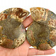 Ammonite pair 181g
