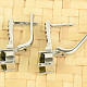 Vltavín s granáty náušnice standard brus 6mm Ag 925/1000 + Rh