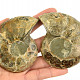 Ammonite pair 189g