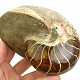 Smooth ammonite whole from Madagascar 1419g