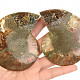 Ammonite pair 171g