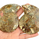 Ammonite pair 167g