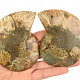 Ammonite pair 183g