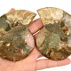 Ammonite pair 157g