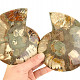 Ammonite pair 639g