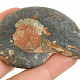 Ammonite half from Madagascar 36g