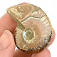 Ammonite whole with opal luster 16g from Madagascar