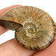 Ammonite whole with opal luster from Madagascar 22g