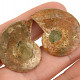 Ammonite pair for collectors (Madagascar) 7g