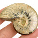 Ammonite whole with opal luster from Madagascar 36g