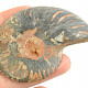 Ammonite half from Madagascar 42g