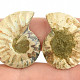Ammonite selection pair from Madagascar 7g